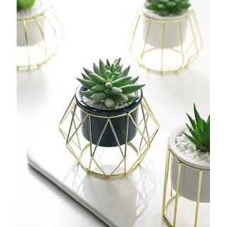 FL Flower Pot Ceramics Decorative Tabletop Plant Pot Indoor with Gold Metal Stand for Succulents Cactus Herb Orchid, Desk Decor Gift (7)