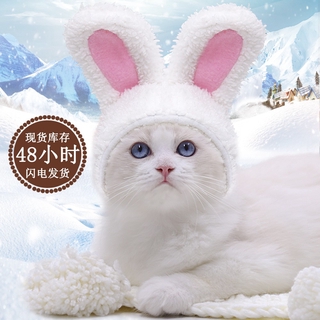cat hat, dog, white rabbit, cute, warm and comfortable, cotton wool, small and medium-sized dog headgear, adjustable in autumn and winter**--