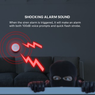 CrabTek WIFi SMART Sound and Flash Siren wireless indoor motion alarm alarm system detector (4)