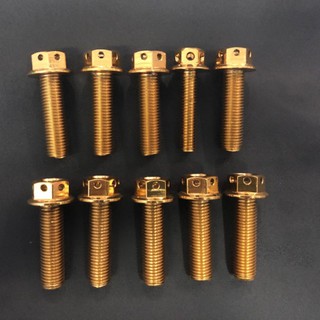 【Ready Stock】✖✗♀Heng bolt 10x35 Gold bolt (price is per piece)