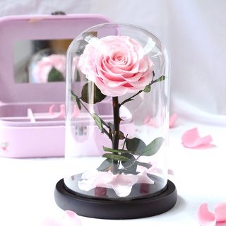 New Beauty and The Beast Roses Preserved Flowers Red Eternal Rose Flower In Glass Dome Valentine