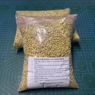 【Ready Stock】☑✗1KG Cat Grass / Pure barley seeds Pet wheat /Organic