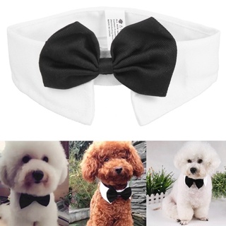 Cat fashion bow tie Dog bow tie (1)