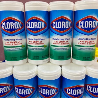 Clorox Disinfecting Wipes (1)