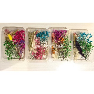 Dried Flowers for Scrapbooking, Resin Arts, Flatlays, Jewelry Making