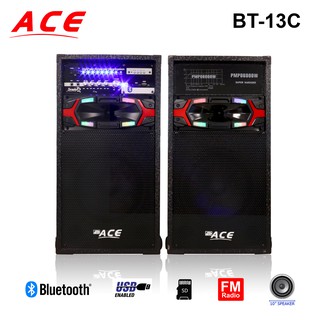 ACE BT-13C 10" Professional Sub-woofer Speaker Amplifier