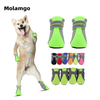 MOLAMGO Dog Reflective Spring and Summer New Pet