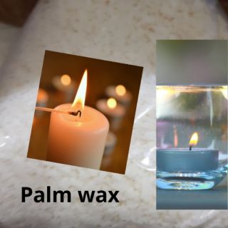 Palm wax (1 kilogram)