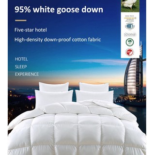 Hot-sale Hilton hotel Duvet comforter (1)