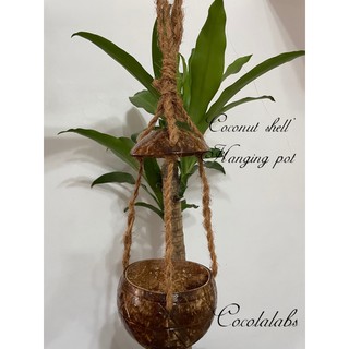 Hanging pot coconut shell pot / coco pot / plant pot
