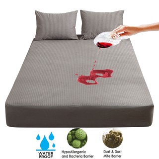 [Ready Stock]Cotton Terry Waterproof Mattress Protector Stripe Bed Sheet Bedbug Proof Sheet Cover Si