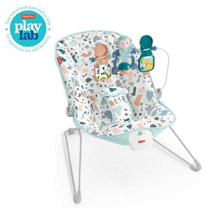 Baby Bouncer Fisher Price Babys Baby Bouncer / Baby Chair