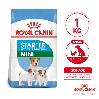 Royal Canin Mini Starter Mother & Babydog (1kg) - Size Health Nutrition