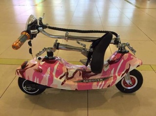 Folding Dolphin Electric Scooter E Scooter 24V 8Ah (8)