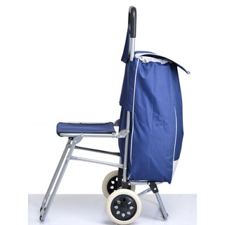 SHOPPING TROLLEY WITH BAG AND CHAIR (4)