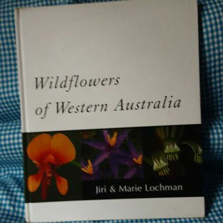 GARDENING: WILDFLOWERS OF WESTERN AUSTRALIA.