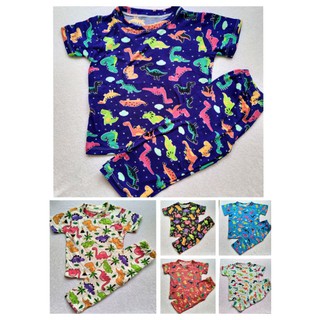 Dino Print Terno T-shirt and Pajama for kids.