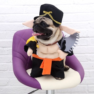 △▧Spring and autumn pet cat costumes cute funny funny costumes funny cats and dogs clothes standing (3)