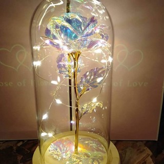 Enchanted Galaxy Rose Glass Dome