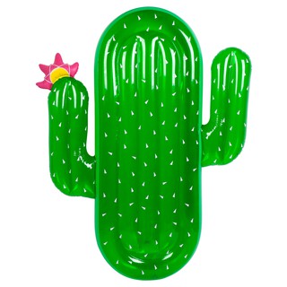 Inflatable Floater Cactus Floater (3)