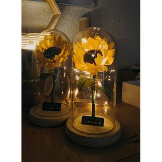 ENCHANTED SUNFLOWER IN GLASS DOME (BEAUTY AND THE BEAST INSPIRED)