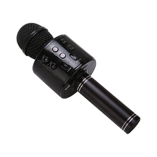 Professional Wireless Microphone Speaker Handheld Microphone Karaoke Mic