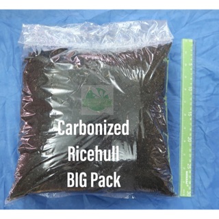 Carbonized Rice hull (Big Pack) or Sunog na ipa by Lansypots