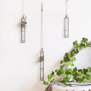 Creative Wall Hanging Flower Vase Iron Glass Hydroponics Planter Pot Transparent Flower Bottle (5)