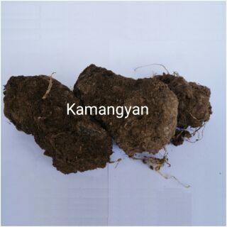 Kamangyan 250g per pack Frankincense, Olibanum
