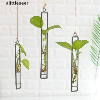 【ALI】 Wall Hanging Flower Vase Iron Glass Transparent for Hydroponics Plant Container .