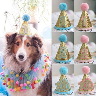 【Ready Stock】❏☊Dog Puppy Party Costume Cat Hat Accessory Headwear Birthday Pet Sequins