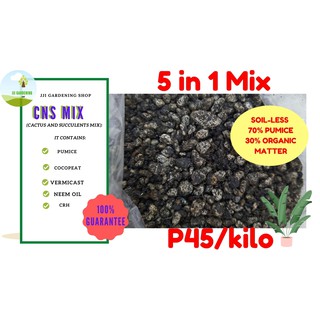CnS Mix: Soil-less Cactus and Succulents Mix