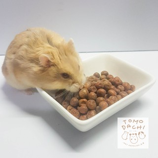 White CERAMIC FOOD OR WATER DISH for Hamster and other Small pets