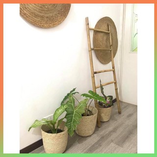 【Available】Ladder made of Bamboo 5ft x 22”
