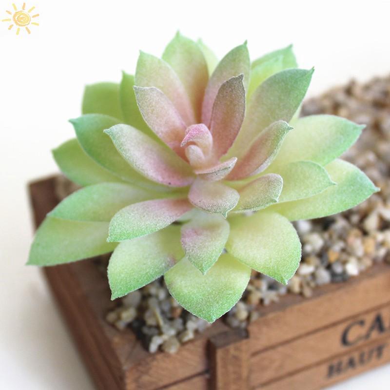 ☀Plastic Succulent Plant Cactus Flower Decor Gift (8)