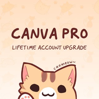 Can va Pro Lifetime Upgrade Own Account (1)