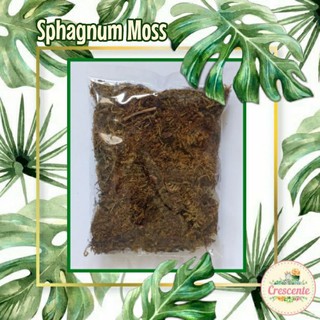 Sphagnum Moss (20g/pack)