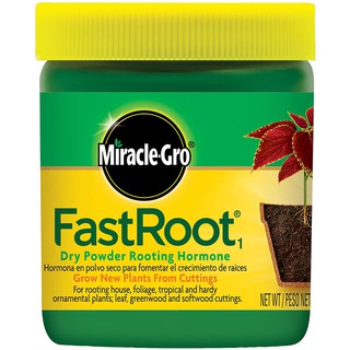 Miracle-Gro FastRoot1 Dry Powder Rooting Hormone: Houseplant and Succulent Propagation 35.4gms