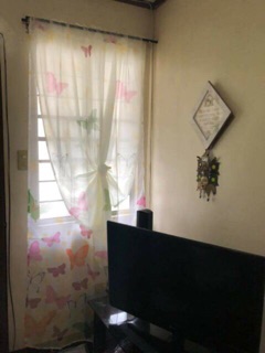 Washable Butterfly Printed Window Curtain (9)