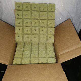 Rockwool for Hydroponics (25 cubes)