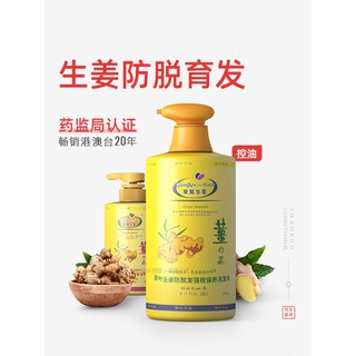 Qin Ye Ginger Shampoo Anti-Hair Loss Oil Control Fluffy Mature Ginger Juice Anti-Dandruff Moisturizi