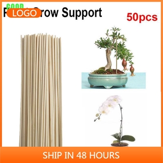 {Garden}50pcs Wooden Plant Grow Support Bamboo Plant Sticks for Flower Stick Cane Stand