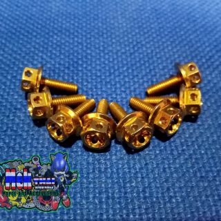 Break fluid Gold bolts flower type original Heng (5)