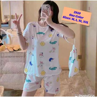 Korean Terno Short sleeve with Shorts cute different designs sleepwear with pouch bag (7)