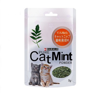 【Ready Stock】✇Catnip cat nip mint 5g