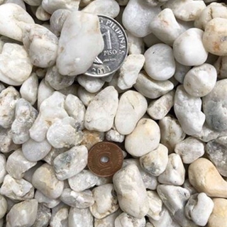 1KG WHITE PEBBLES FOR PLANT TOPPING AND AQUARIUM BEDDING