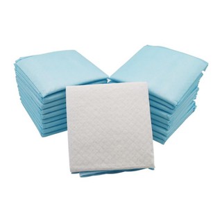 Pet Training Pads Puppy Pad Biodegradable Disposable Training Dog Pee