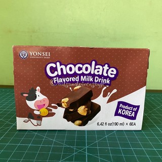 Yonsei Chocolate Flavored Milk Drink