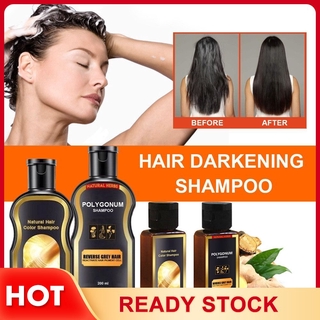 Natural Polygonum Multiflorum Shampoo Hair Harkening Hhampoo 30ml