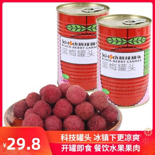 Authentic Huangyan Technology Canned Black Plum 425Gramx5Can Fresh Sweet and Sour Plum Canned Fruit